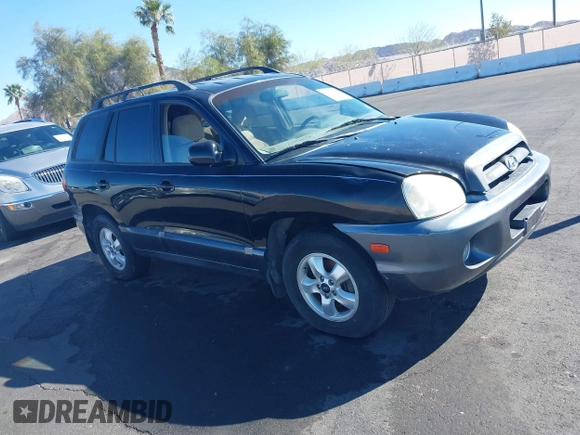 2006 Hyundai Santa Fe GLS with VIN KM8SC73D06U111314, listed as a IAAI auction lot 41874246 with 126,127 mi miles. Bid and sale history available at carsss.com. Image 13.