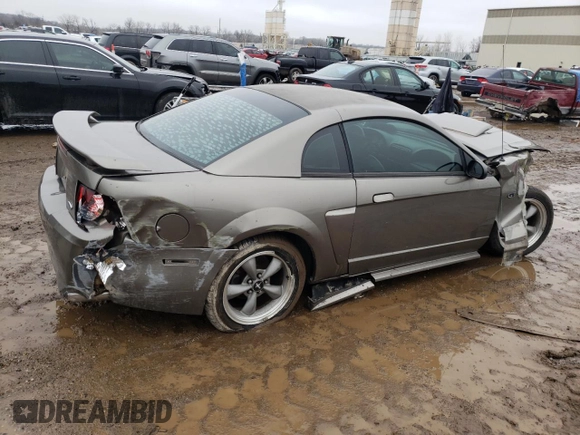 2002 Ford Mustang GT Deluxe with VIN 1FAFP42X02F203595, listed as a Copart auction lot 40194624 with 0 mi miles and Salvage Title. Bid and sale history available at carsss.com. Image 3.