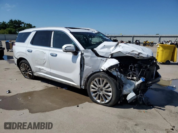 2020 Hyundai Palisade Limited with VIN KM8R5DHE9LU102289, listed as a Copart auction lot 54194415 with 98,282 mi miles and Salvage title. Bid and sale history available at DreamBid. Image 4.
