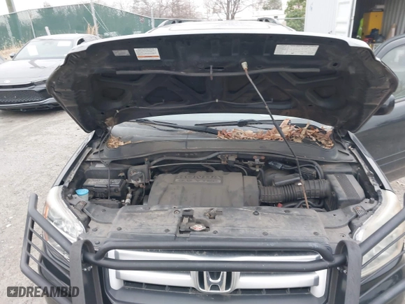 2008 Honda Pilot EX-L with VIN 5FNYF18768B035728, listed as a IAAI auction lot 41492820 with 118,420 mi miles. Bid and sale history available at carsss.com. Image 10.