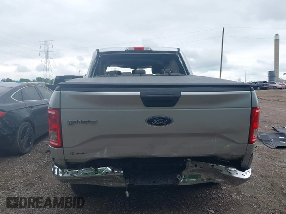 2017 Ford F-150 XL z VIN 1FTEW1EF2HFB68108, wystawiony jako IAAI lot #42352905 z przebiegiem 119 277 mil mil oraz . Historia ofert i sprzedaży dostępna na DreamBid. Obrazek 15.