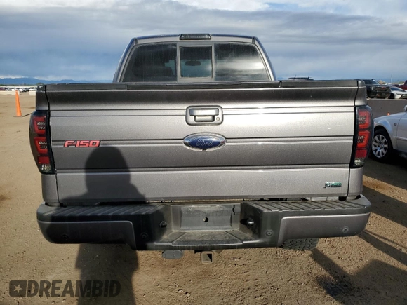 2010 Ford F-150 XL with VIN 1FTFW1EV6AFA03440, listed as a Copart auction lot 54847325 with 176,807 mi miles and Salvage Title. Bid and sale history available at DreamBid. Image 6.