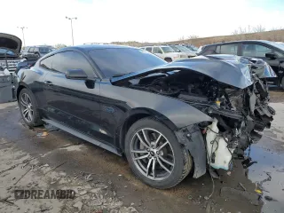 2018 Ford Mustang GT with VIN 1FA6P8CFXJ5106339, listed as a Copart auction lot 46749215 with 113,244 mi miles and Salvage Title. Bid and sale history available at DreamBid. Image 4.