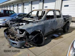 2009 Dodge 1500 TRX with VIN 1D3HV18P69S797665, listed as a Copart auction lot 46035225 with Not Provided miles and Salvage Title. Bid and sale history available at carsss.com. Image 1.
