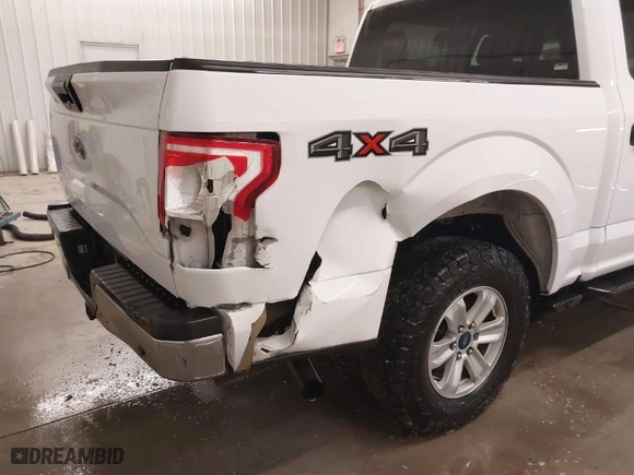2017 Ford F-150 XL with VIN 1FTEW1EP2HKC26704, listed as a IAAI auction lot 41570389 with 134,740 mi miles. Bid and sale history available at carsss.com. Image 6.