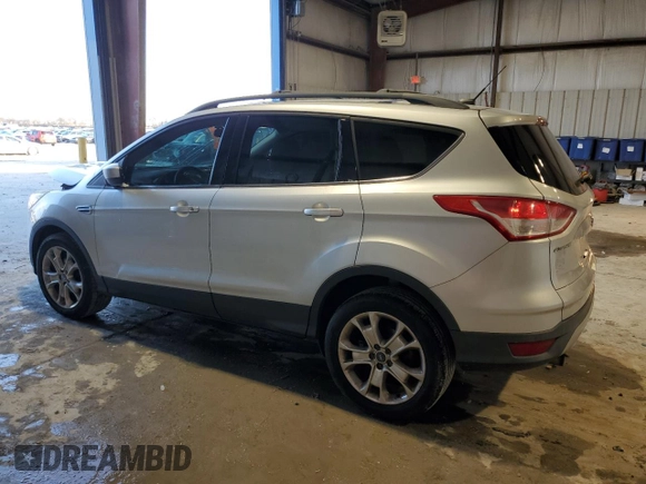 2013 Ford Escape SE with VIN 1FMCU0GX1DUA53319, listed as a Copart auction lot 45741415 with 172,849 mi miles and Salvage Title. Bid and sale history available at DreamBid. Image 2.
