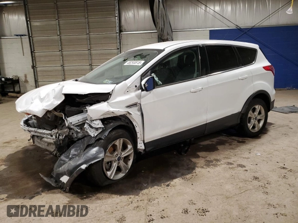 2015 Ford Escape SE with VIN 1FMCU9G93FUA48308, listed as a Copart auction lot 48293815 with 0 mi miles and Salvage Title. Bid and sale history available at carsss.com. Image 1.