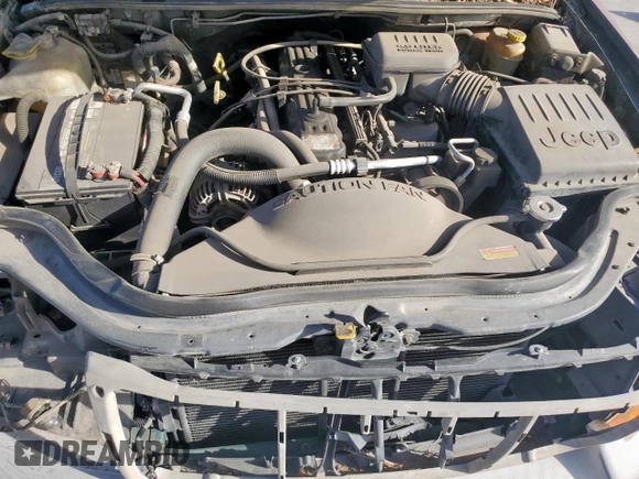 1999 Jeep Grand Cherokee Laredo with VIN 1J4G258S0XC561054, listed as a Copart auction lot 49814555 with Not provided miles and Salvage title. Bid and sale history available at DreamBid. Image 12.