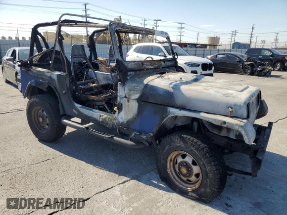 1995 Jeep Wrangler S with VIN 1J4FY19P8SP274074, listed as a Copart auction lot 74381094 with 0 mi miles and Salvage Title. Bid and sale history available at carsss.com. Image 4.