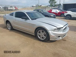 2014 Ford Mustang V6 с VIN 1ZVBP8AMXE5297192, выставлен на аукционе IAAI как лот 42231701 с пробегом Не указан миль и . История ставок и продаж доступна на DreamBid. Изображение 1.