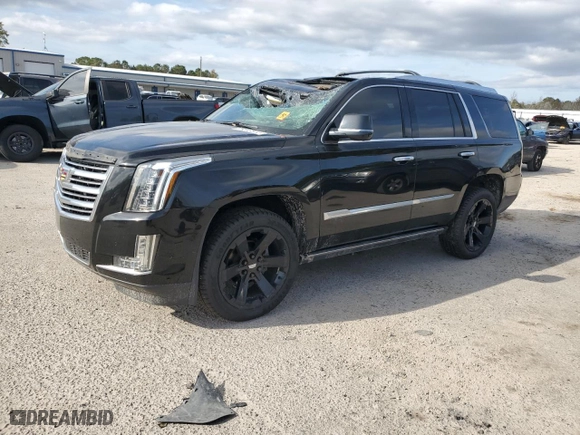 2019 Cadillac Escalade Platinum with VIN 1GYS3DKJ9KR130784, listed as a Copart auction lot 78013814 with 109,229 mi miles and Salvage Title. Bid and sale history available at carsss.com. Image 1.