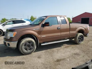 2011 Ford F-150 XL with VIN 1FTFX1CT9BFC42187, listed as a Copart auction lot 59053175 with 255,477 mi miles and Salvage title. Bid and sale history available at DreamBid. Image 1.