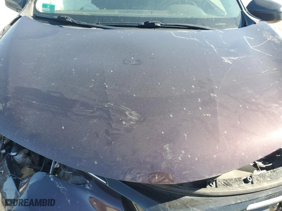 2017 Toyota RAV4 LE with VIN 2T3BFREV8HW549680, listed as a Copart auction lot 46143185 with 44,016 mi miles and Salvage Title. Bid and sale history available at carsss.com. Image 12.