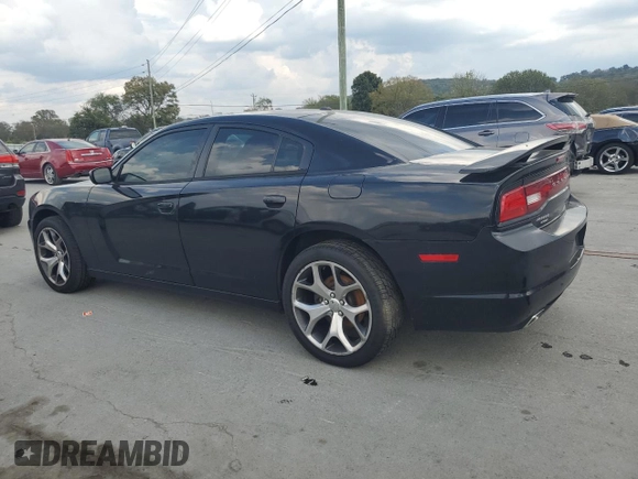 2014 Dodge Charger RT with VIN 2C3CDXDT9EH156429, listed as a Copart auction lot 72791694 with 171,052 mi miles and Salvage Title. Bid and sale history available at carsss.com. Image 2.
