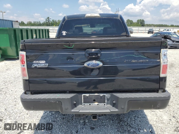 2009 Ford F-150 XL with VIN 1FTPW14V79FA60490, listed as a Copart auction lot 62701335 with 167,017 mi miles and Salvage title. Bid and sale history available at DreamBid. Image 6.