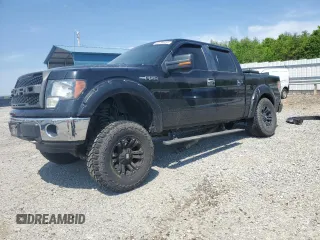 2011 Ford F-150 XL with VIN 1FTFW1EF1BKD11049, listed as a Copart auction lot 53794435 with 198,161 mi miles and Clean title. Bid and sale history available at DreamBid. Image 1.