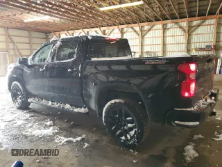 2022 Chevrolet Silverado 1500 Custom Trail Boss with VIN 3GCPDCEK0NG608635, listed as a Copart auction lot 81301514 with 46,289 mi miles and Salvage Title. Bid and sale history available at carsss.com. Image 2.