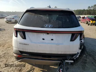 2024 Hyundai Tucson Limited with VIN 5NMJE3DE1RH389810, listed as a Copart auction lot 43654645 with 6,847 mi miles and Salvage Title. Bid and sale history available at carsss.com. Image 6.