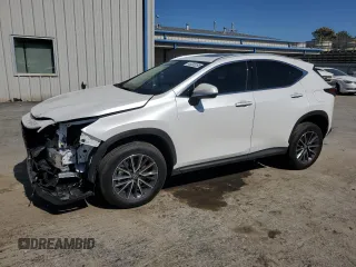2025 Lexus NX with VIN 2T2GKCEZ8SC049176, listed as a Copart auction lot 48203265 with 314 mi miles and Salvage Title. Bid and sale history available at carsss.com. Image 1.