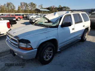2002 Dodge Durango z VIN 1B4HR58N82F202541, wystawiony jako Copart lot #75289644 z przebiegiem Nie podano mil oraz Szkoda całkowita • Salvage title. Historia ofert i sprzedaży dostępna na DreamBid. Obrazek 1.