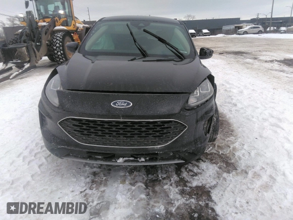 2020 Ford Escape SE with VIN 1FMCU9G68LUB64783, listed as a IAAI auction lot 41605576 with 29,588 mi miles and . Bid and sale history available at DreamBid. Image 11.