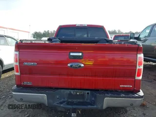 2013 Ford F-150 XL with VIN 1FTFW1EF1DFA78429, listed as a IAAI auction lot 41119527 with 280,736 mi miles. Bid and sale history available at carsss.com. Image 16.