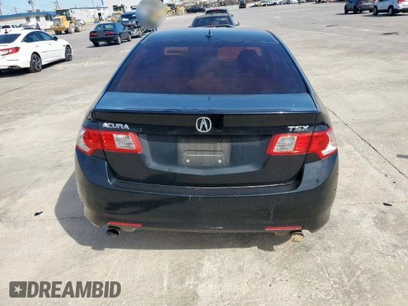 2010 Acura TSX with VIN JH4CU2F68AC023002, listed as a Copart auction lot 48956315 with 223,827 mi miles and Salvage Title. Bid and sale history available at carsss.com. Image 6.