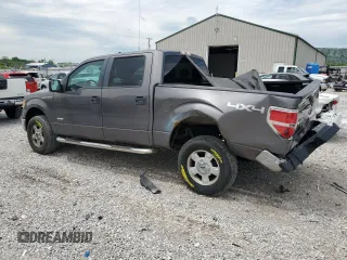 2013 Ford F-150 XL with VIN 1FTFW1ET4DKF81269, listed as a Copart auction lot 55813125 with 158,729 mi miles and Salvage title. Bid and sale history available at DreamBid. Image 2.