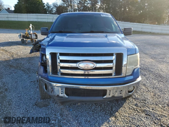 2011 Ford F-150 XL with VIN 1FTFX1CT9BFB94450, listed as a Copart auction lot 81144824 with 213,749 mi miles and Salvage Title. Bid and sale history available at carsss.com. Image 5.