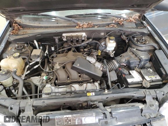 2005 Ford Escape XLT with VIN 1FMCU93155DA27040, listed as a Copart auction lot 62453695 with 167,856 mi miles and Clean title. Bid and sale history available at DreamBid. Image 12.