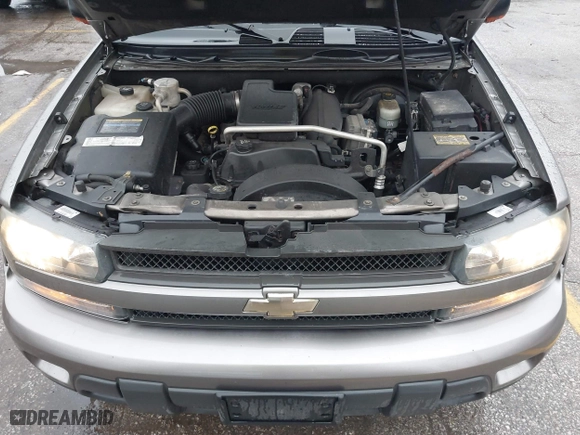 2005 Chevrolet TrailBlazer LT with VIN 1GNDT13S452319576, listed as a IAAI auction lot 41471422 with 266,346 mi miles. Bid and sale history available at carsss.com. Image 10.