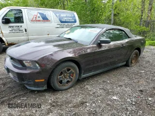2011 Ford Mustang V6 with VIN 1ZVBP8EM8B5129301, listed as a Copart auction lot 56668885 with Not provided miles and Non repairable. Bid and sale history available at DreamBid. Image 1.