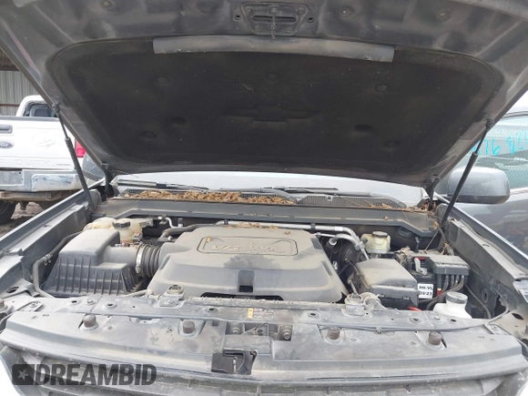 2016 Chevrolet Colorado 4WD LT with VIN 1GCGTCE32G1106402, listed as a IAAI auction lot 41768188 with 145,609 mi miles and . Bid and sale history available at DreamBid. Image 10.