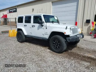 2017 Jeep Wrangler Unlimited Sahara with VIN 1C4BJWEG8HL734572, listed as a IAAI auction lot 41863636 with 123,979 mi miles. Bid and sale history available at carsss.com. Image 1.