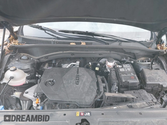 2023 Hyundai Santa Fe SEL with VIN 5NMS3DAJ3PH504079, listed as a IAAI auction lot 41142971 with 30,164 mi miles and . Bid and sale history available at DreamBid. Image 10.