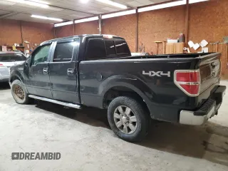 2010 Ford F-150 XL with VIN 1FTFW1EV7AFA44952, listed as a Copart auction lot 47845065 with 160,132 mi miles and Salvage title. Bid and sale history available at DreamBid. Image 2.