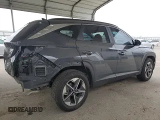 2025 Hyundai Tucson SEL with VIN 5NMJB3DE2SH493866, listed as a Copart auction lot 53480595 with 17,323 mi miles and Salvage Title. Bid and sale history available at carsss.com. Image 3.