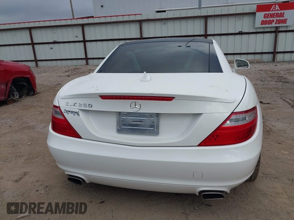 2014 Mercedes-Benz SLK 250 with VIN WDDPK4HA7EF081313, listed as a IAAI auction lot 41520329 with 53,031 mi miles and . Bid and sale history available at DreamBid. Image 16.