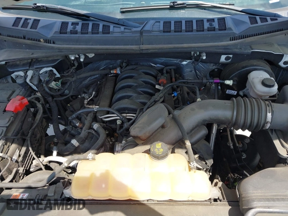 2019 Ford F-150 XL с VIN 1FTEX1C50KKC03721, выставлен на аукционе IAAI как лот 42449106 с пробегом 117 282 миль миль и . История ставок и продаж доступна на DreamBid. Изображение 10.