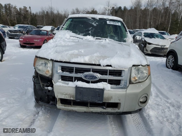 2008 Ford Escape XLT with VIN 1FMCU03148KD28538, listed as a Copart auction lot 43195975 with 137,437 mi miles and Salvage Title. Bid and sale history available at carsss.com. Image 5.