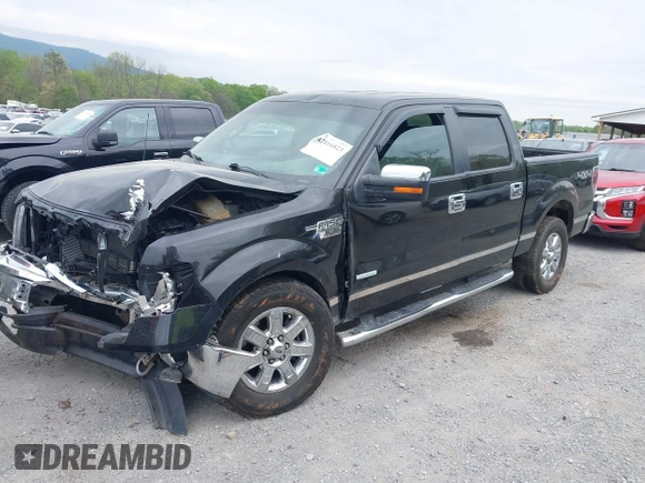 2013 Ford F-150 XL z VIN 1FTFW1ET9DKG38355, wystawiony jako IAAI lot #42116823 z przebiegiem 178 653 mil mil oraz . Historia ofert i sprzedaży dostępna na DreamBid. Obrazek 6.