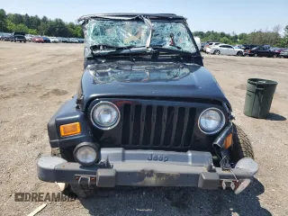 2002 Jeep Wrangler Sport with VIN 1J4FA49S02P721457, listed as a Copart auction lot 61726855 with 76,191 mi miles and Salvage title. Bid and sale history available at DreamBid. Image 5.