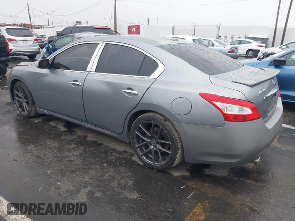 2009 Nissan Maxima SV with VIN 1N4AA51E99C803366, listed as a IAAI auction lot 41805151 with 175,801 mi miles and . Bid and sale history available at DreamBid. Image 3.