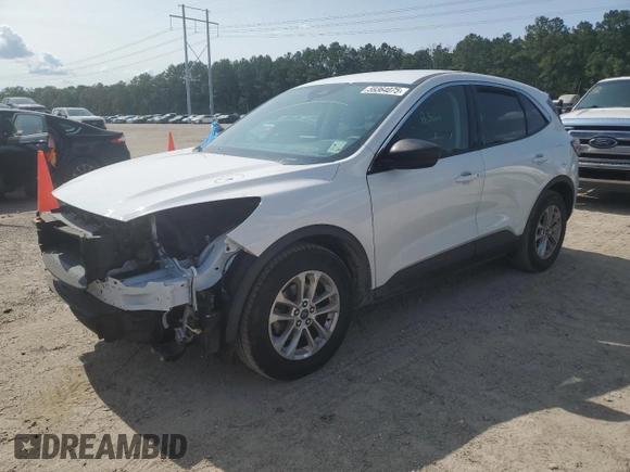 2022 Ford Escape SE with VIN 1FMCU0G6XNUA89499, listed as a Copart auction lot 59364075 with 2,503 mi miles and Salvage title. Bid and sale history available at DreamBid. Image 1.