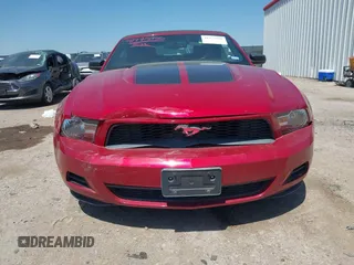 2010 Ford Mustang V6 with VIN 1ZVBP8EN0A5127887, listed as a IAAI auction lot 41975950 with 95,081 mi miles and . Bid and sale history available at DreamBid. Image 12.