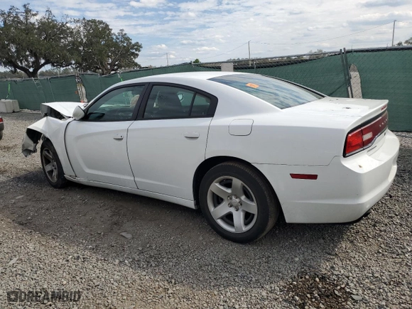 2014 Dodge Charger Police with VIN 2C3CDXAT0EH207305, listed as a Copart auction lot 43279514 with 0 mi miles and Salvage Title. Bid and sale history available at carsss.com. Image 2.