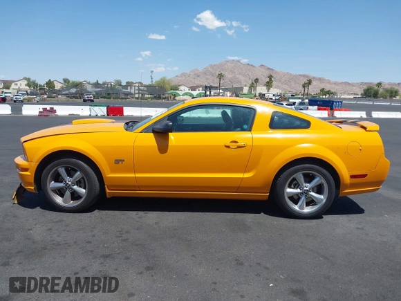 2008 Ford Mustang GT Deluxe with VIN 1ZVHT82H985189609, listed as a IAAI auction lot 42025596 with Not Provided miles and . Bid and sale history available at carsss.com. Image 13.