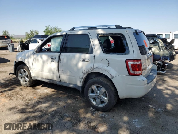 2010 Ford Escape Limited with VIN 1FMCU9EG5AKD32965, listed as a Copart auction lot 59765695 with Not provided miles and Salvage title. Bid and sale history available at DreamBid. Image 2.