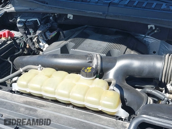 2019 Ford F-150 XL with VIN 1FTEW1E4XKKE93960, listed as a IAAI auction lot 42063323 with 177,650 mi miles and . Bid and sale history available at DreamBid. Image 10.