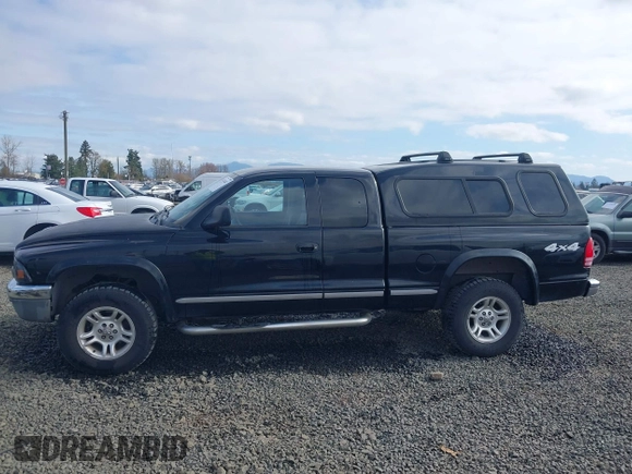 2004 Dodge Dakota SLT with VIN 1D7HG42N94S618531, listed as a IAAI auction lot 41741467 with 202,422 mi miles. Bid and sale history available at carsss.com. Image 14.